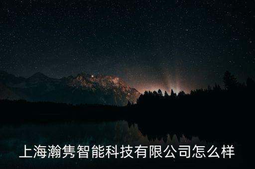 廣東瀚辰智能科技怎么樣，上海瀚雋智能科技有限公司怎么樣