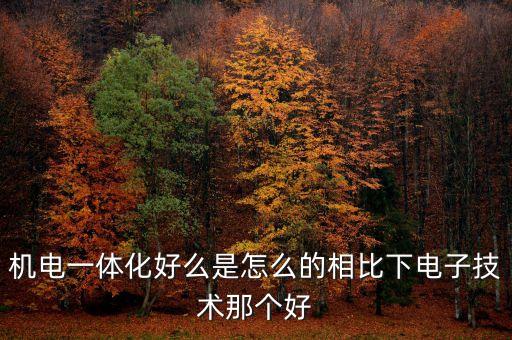 機(jī)電一體化好么是怎么的相比下電子技術(shù)那個(gè)好