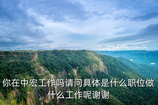 你在中宏工作嗎請(qǐng)問具體是什么職位做什么工作呢謝謝