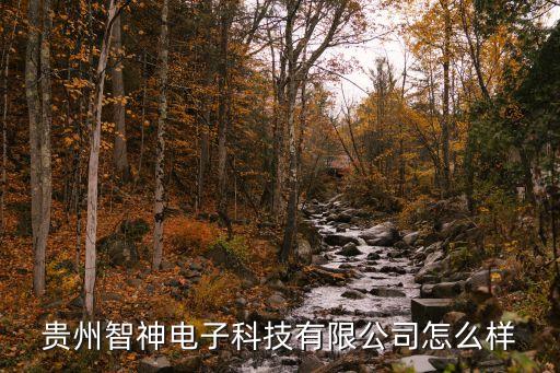 貴州智神電子科技有限公司怎么樣