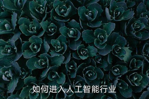 如何進(jìn)入人工智能行業(yè)
