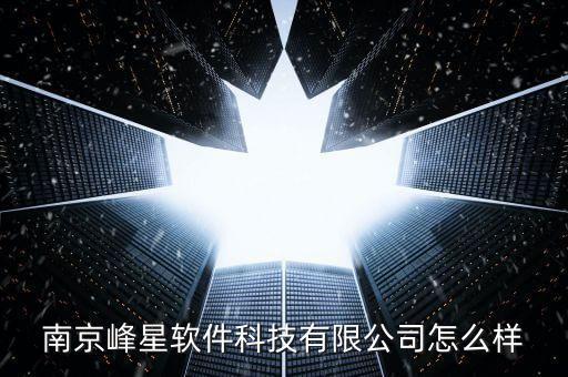 南京峰星軟件科技有限公司怎么樣