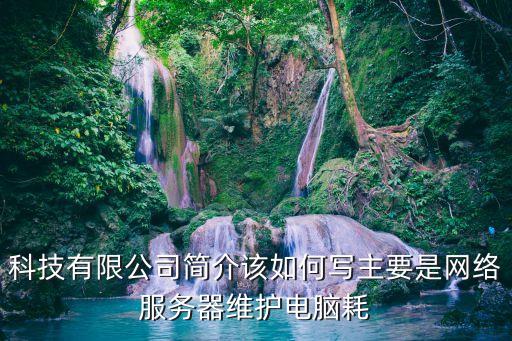 科技公司簡介，新普科技股份有限公司的介紹