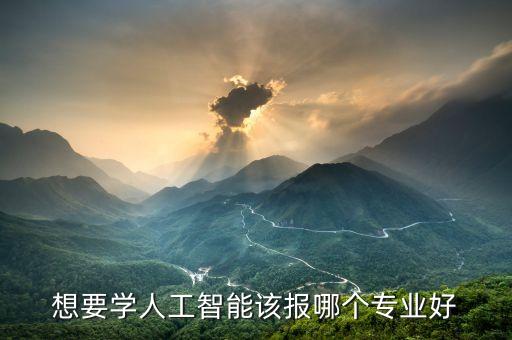 想要學(xué)人工智能該報(bào)哪個(gè)專業(yè)好