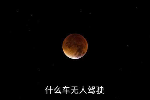 什么車無人駕駛