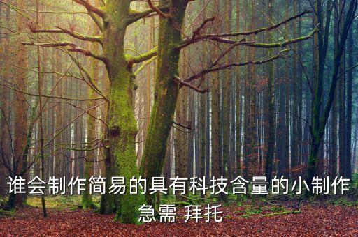 誰(shuí)會(huì)制作簡(jiǎn)易的具有科技含量的小制作 急需 拜托
