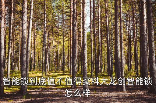 智能鎖到底值不值得買科大龍創(chuàng)智能鎖怎么樣