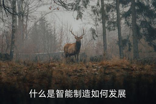 智能制造行業(yè)發(fā)展前景，什么是智能制造如何發(fā)展