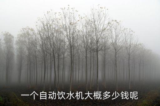 一個(gè)自動(dòng)飲水機(jī)大概多少錢(qián)呢