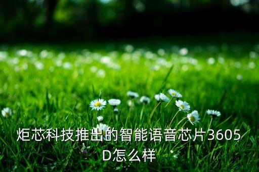 廣州琪芯智能科技怎么樣，廣州市奇智網(wǎng)絡(luò)科技有限公司怎么樣