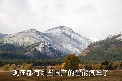 現(xiàn)在都有哪些國產(chǎn)的智能汽車了