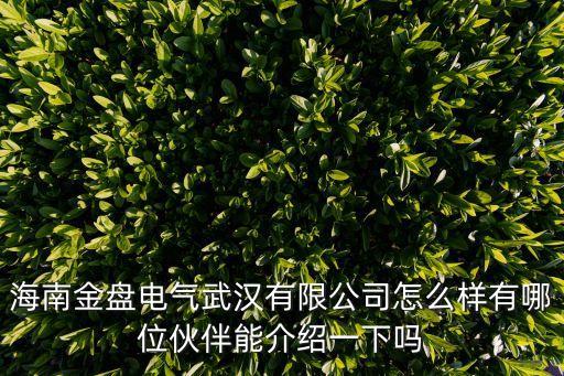 海南金盤(pán)電氣武漢有限公司怎么樣有哪位伙伴能介紹一下嗎