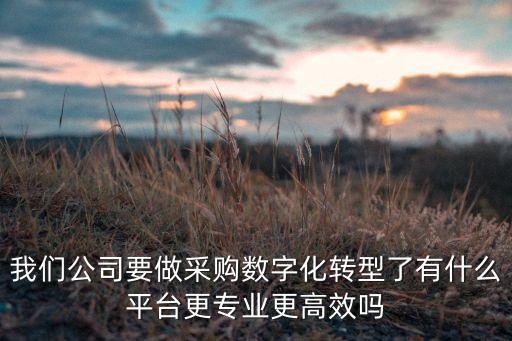 我們公司要做采購數(shù)字化轉(zhuǎn)型了有什么平臺更專業(yè)更高效嗎