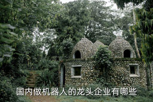 國內(nèi)做機器人的龍頭企業(yè)有哪些