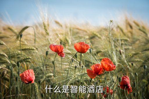 酒店智能黑科技是什么，什么是智能酒店