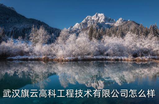 武漢旗云高科工程技術(shù)有限公司怎么樣
