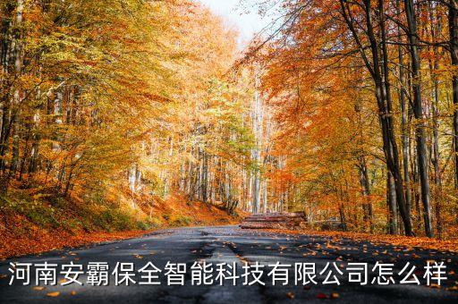 河南安霸保全智能科技有限公司怎么樣