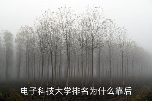 電子科技大學(xué)排名為什么靠后