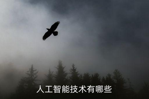 人工智能技術(shù)有哪些