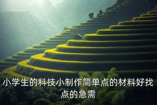 小學(xué)生的科技小制作簡單點(diǎn)的材料好找點(diǎn)的急需