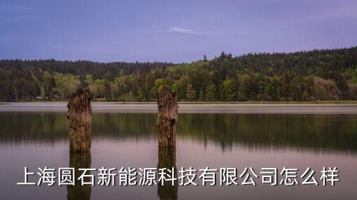 上海圓石新能源科技有限公司怎么樣