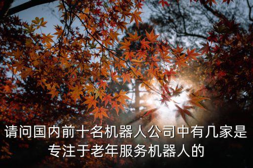 中國十大機器人公司，請問國內(nèi)前十名機器人公司中有幾家是專注于老年服務機器人的