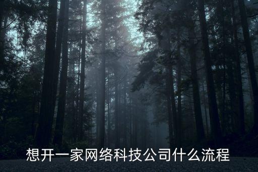 想開一家網(wǎng)絡(luò)科技公司什么流程