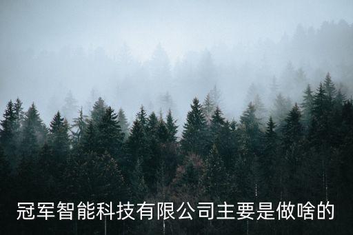 冠軍智能科技有限公司主要是做啥的