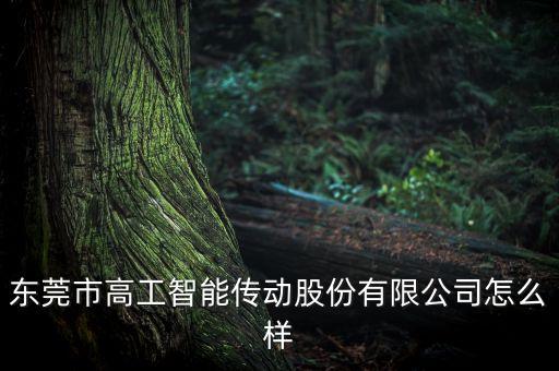 東莞市高工智能傳動(dòng)股份有限公司怎么樣