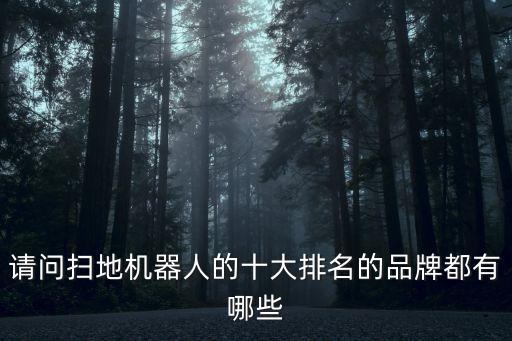 工業(yè)掃地機(jī)品牌排行榜，請(qǐng)問掃地機(jī)器人的十大排名的品牌都有哪些