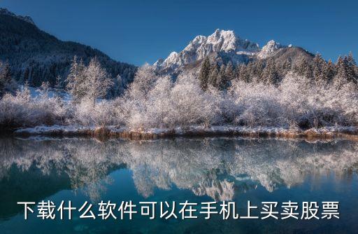 手機炒股app下載，十大手機炒股軟件