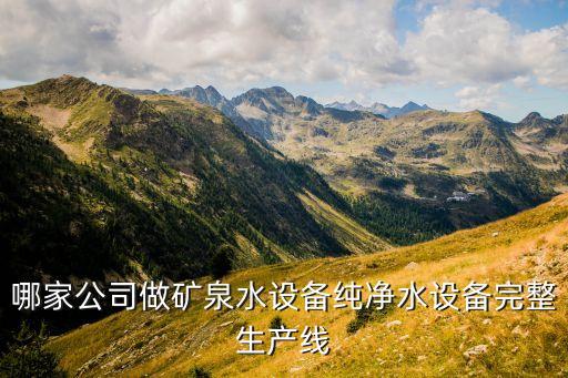 哪家公司做礦泉水設(shè)備純凈水設(shè)備完整生產(chǎn)線