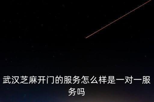 武漢芝麻開門的服務(wù)怎么樣是一對(duì)一服務(wù)嗎