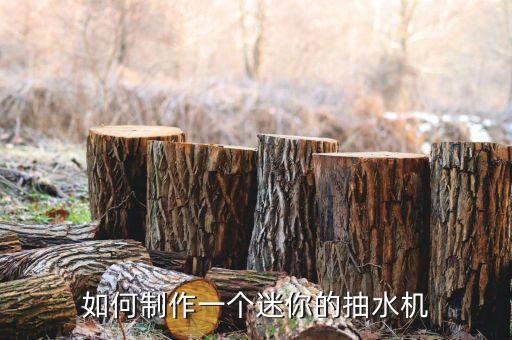 手工迷你飲水機(jī)，兔兔的飲水器怎么DIY