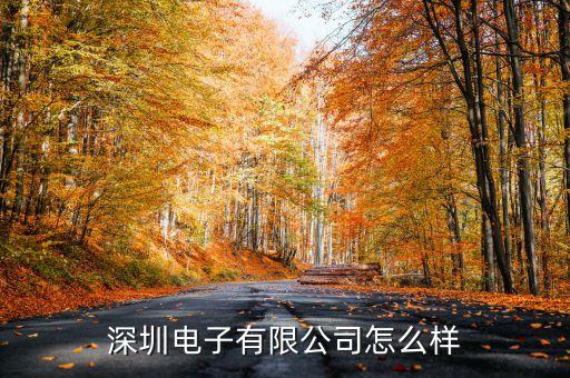 深圳電子有限公司怎么樣