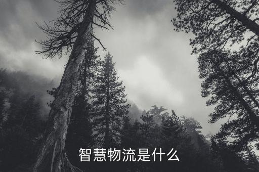 智慧物流是什么