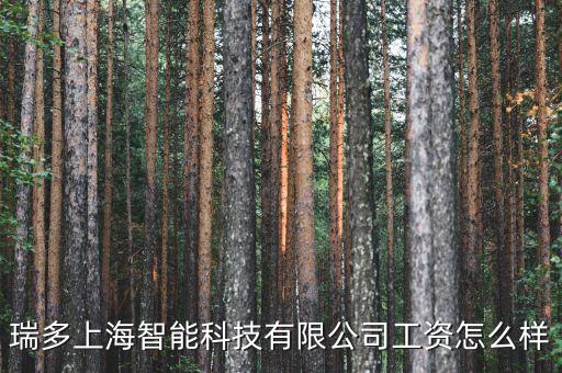 瑞多上海智能科技有限公司工資怎么樣