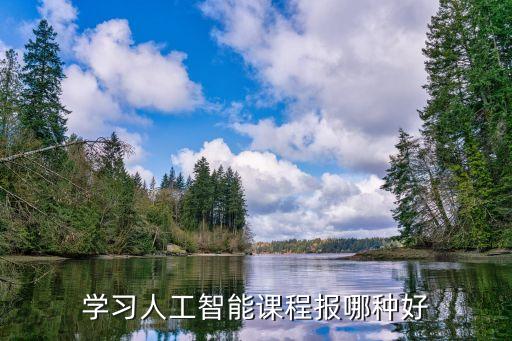 學(xué)習(xí)人工智能課程報(bào)哪種好