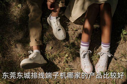 東莞東城排線端子機(jī)哪家的產(chǎn)品比較好