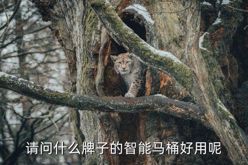 請問什么牌子的智能馬桶好用呢