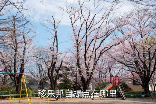 24h自助下單平臺最新，自動下單軟件