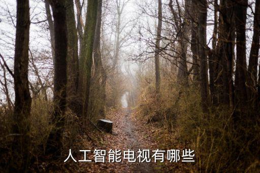 人工智能電視有哪些