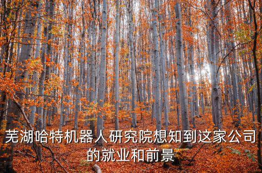 蕪湖星睿智能科技怎么樣，蕪湖哈特機(jī)器人研究院想知到這家公司的就業(yè)和前景