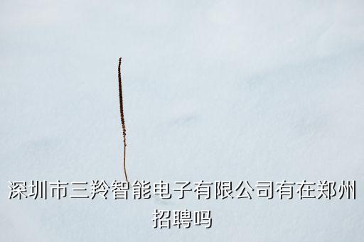 深圳市三羚智能電子有限公司有在鄭州招聘嗎