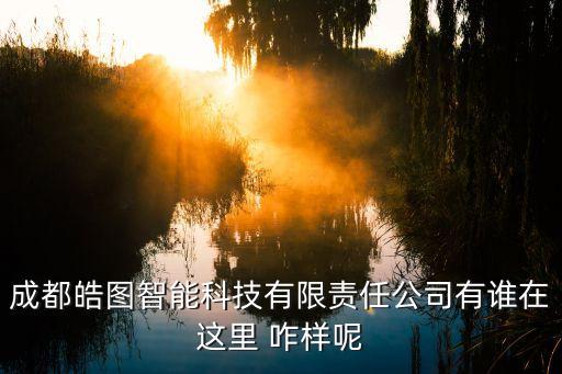成都皓圖智能科技有限責(zé)任公司有誰(shuí)在這里 咋樣呢