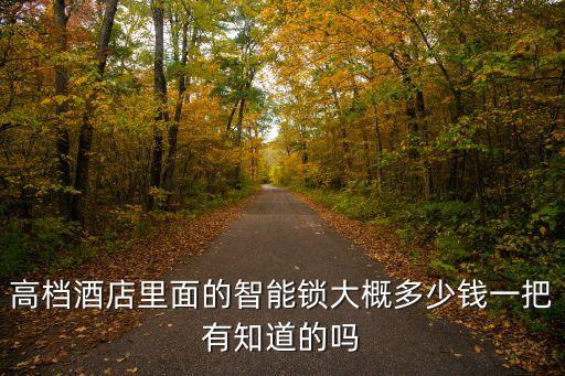 高檔酒店里面的智能鎖大概多少錢一把有知道的嗎