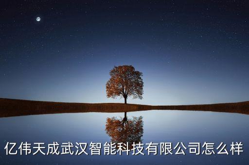 億偉天成武漢智能科技有限公司怎么樣