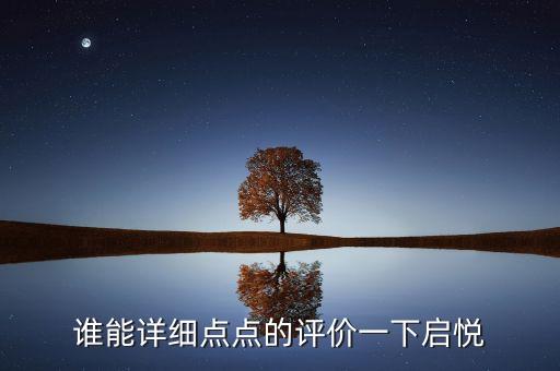 誰能詳細(xì)點(diǎn)點(diǎn)的評(píng)價(jià)一下啟悅