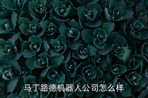 馬丁路德機器人公司怎么樣