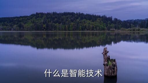 智能技術(shù)是什么，1 什么是人工智能技術(shù)該領(lǐng)域的研究包括哪些方面
